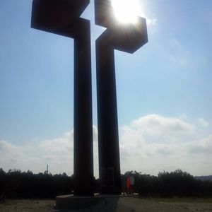 Meet your Posher, Dottie